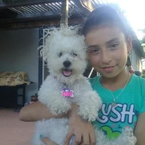 Meet your Posher, Abel